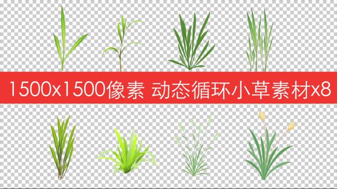 动态循环透明绿色小草卡通素材8个