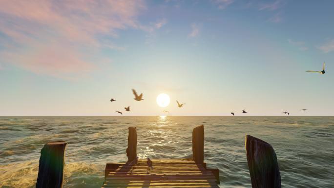 海岛海边日出海鸥飞
