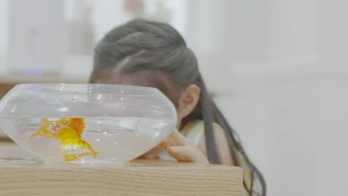 可爱小女孩嘻戏金鱼俏皮看金鱼鱼缸净水广告