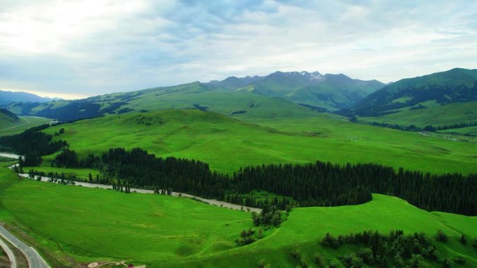 新疆伊犁唐布拉草原百里画廊航拍视频素材