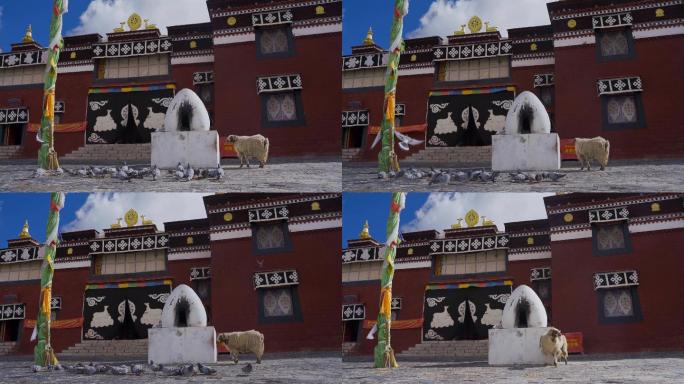 西藏日喀则珠峰大本营绒布寺