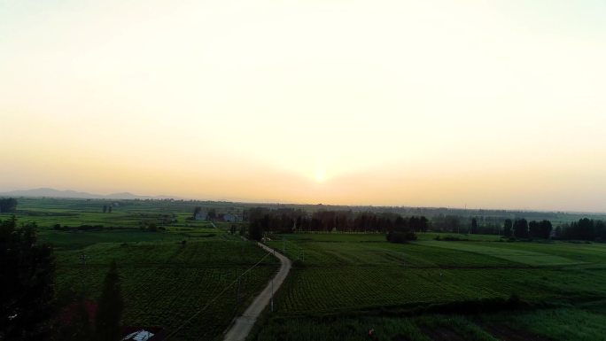 美丽乡村、日出日落、麦田、乡间清晨 故乡