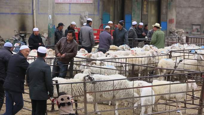 牛羊交易市场