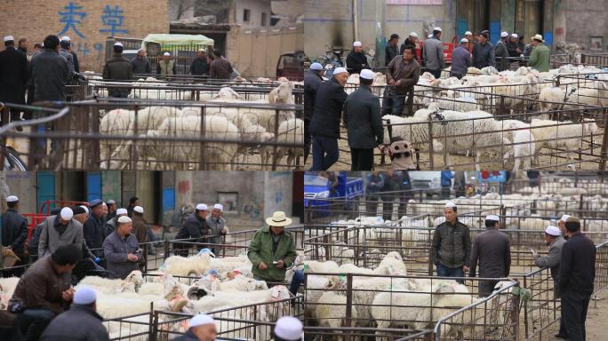 牛羊交易市场