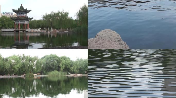 人工湖蓝色的湖 涟漪柳树水准倒影