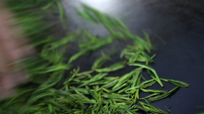 中国传统绿茶手工炒制特写原素材西施石笕茶