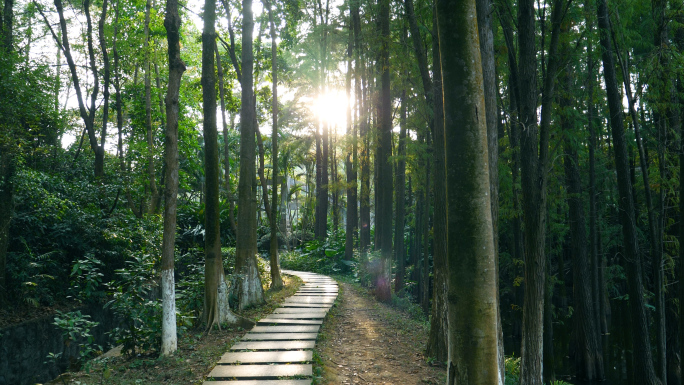 人们在公园游玩，公园风景4k视频素材