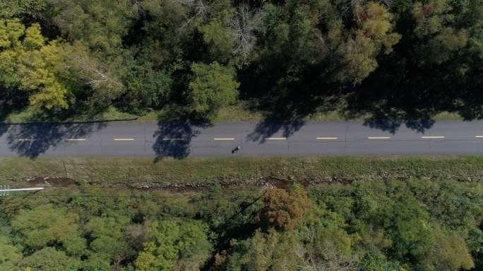 山地公路自行车骑行比赛骑自行车视频素材