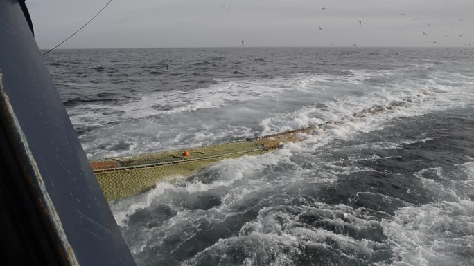 远洋捕捞大型拖网渔船工作