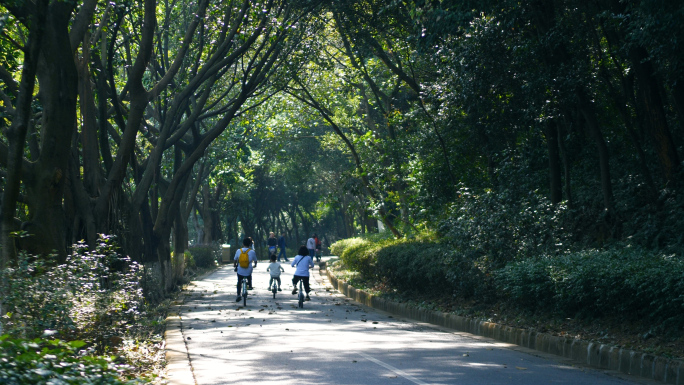 森林公园人们骑自行车游玩，周末亲子时光