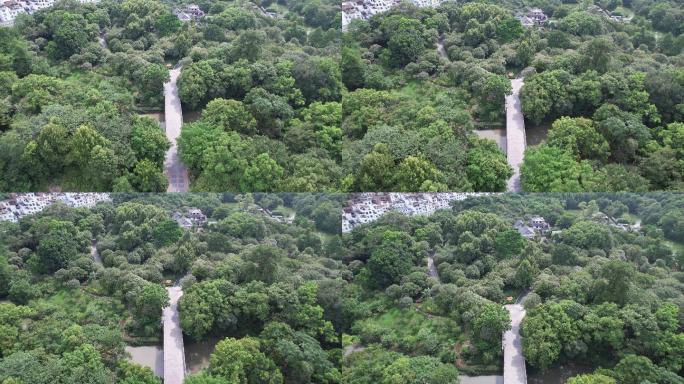 桂林黑山植物园航拍