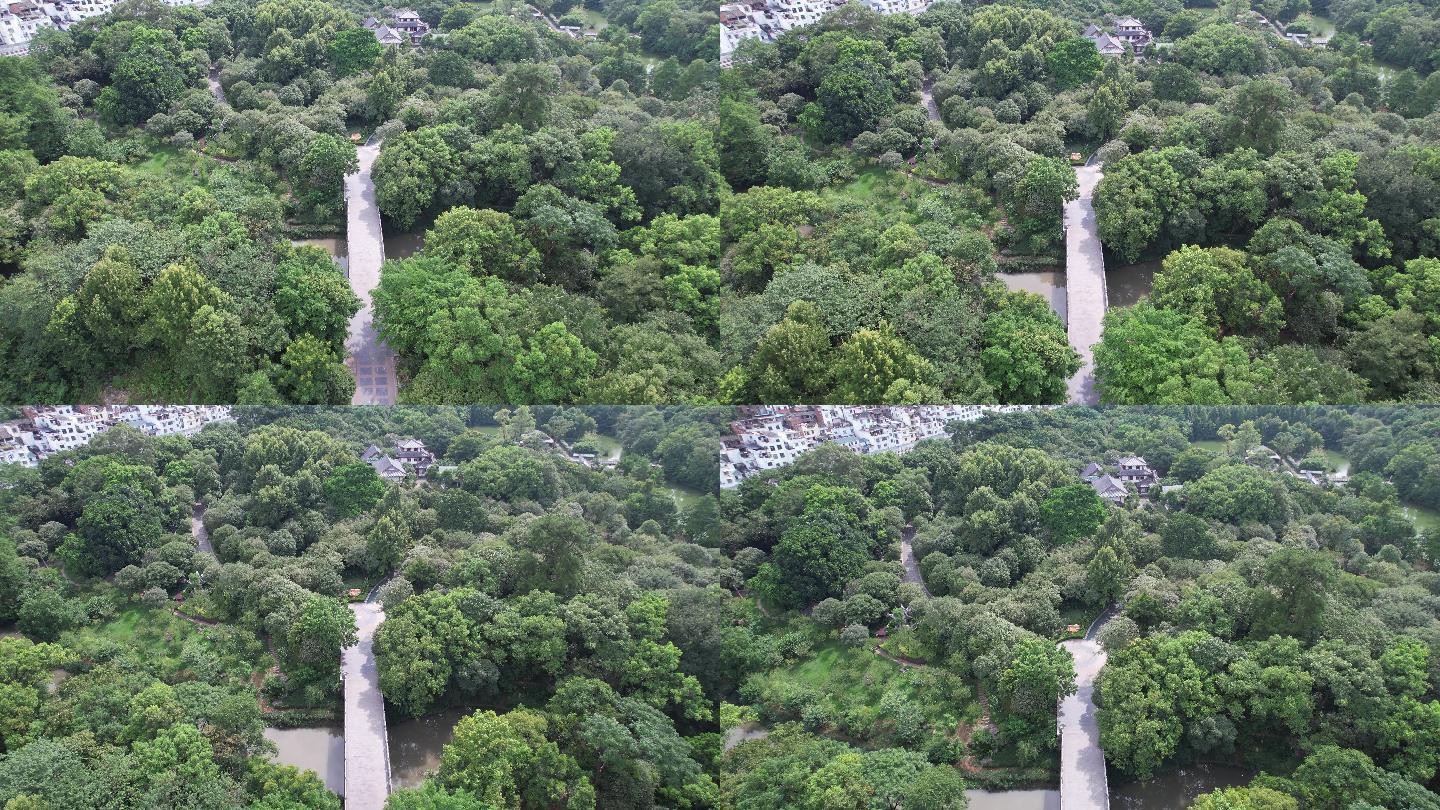 桂林黑山植物园航拍