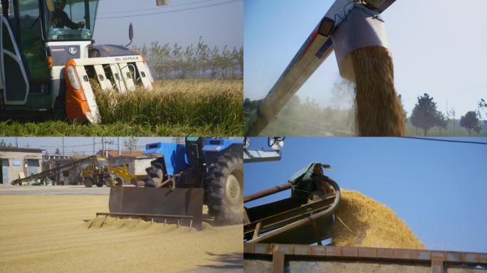 绿色农业水稻大米工厂收割加工
