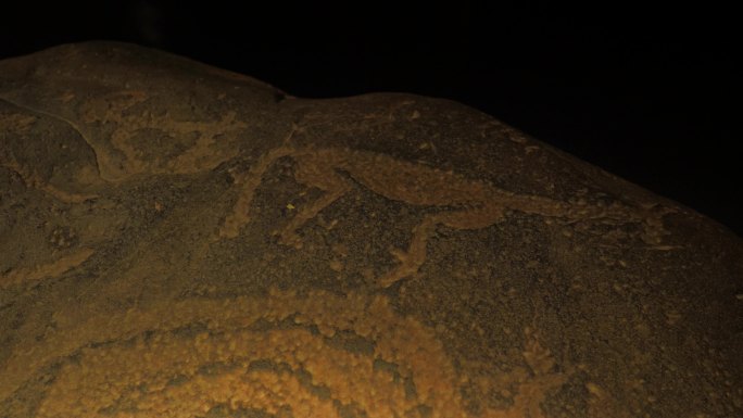 贺兰山岩画动物符号