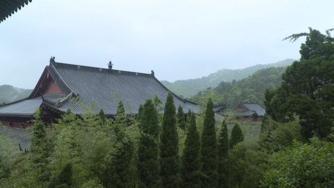 雨中庭院