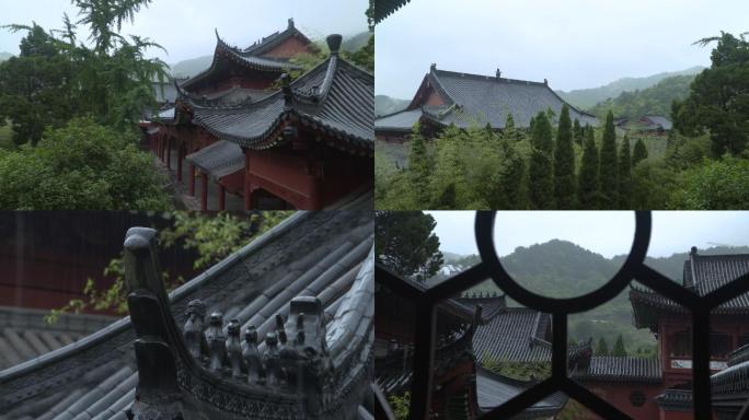 雨中庭院