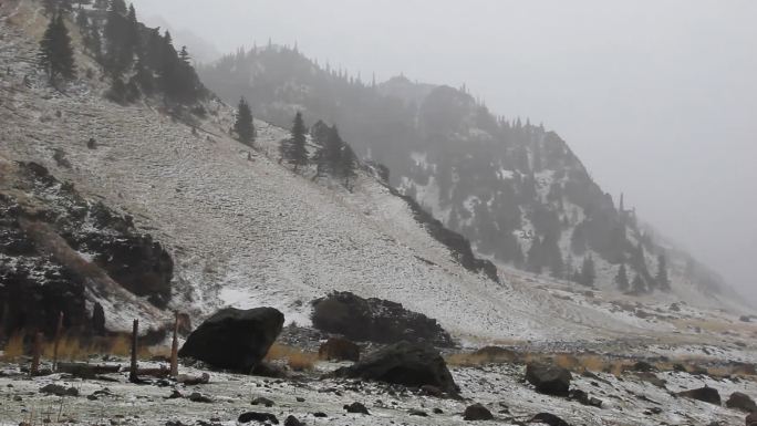 春天雨夹雪