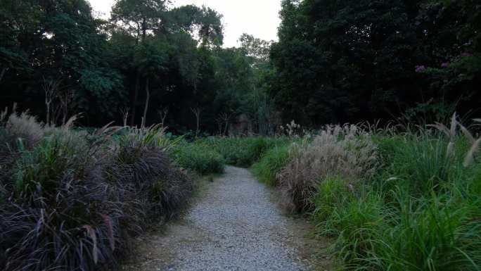 百草园荒郊野外的小路