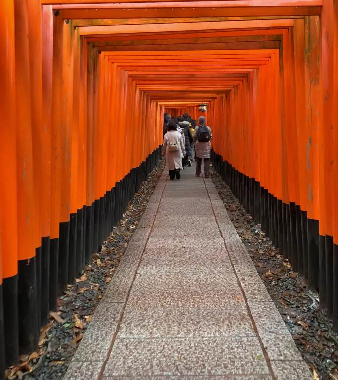 日本旅游景伏见稻荷大社朱红色牌坊千本鸟居