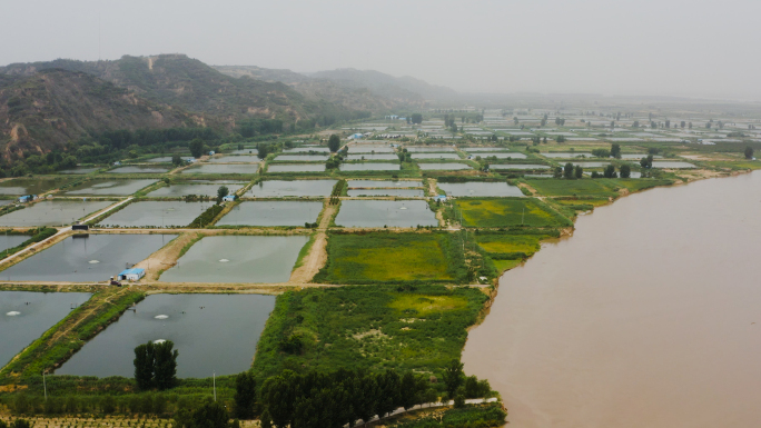 黄河流域河南段生态环境水产养殖黄河牧场