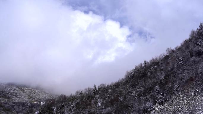 雪山延时 雪景特写  大雪