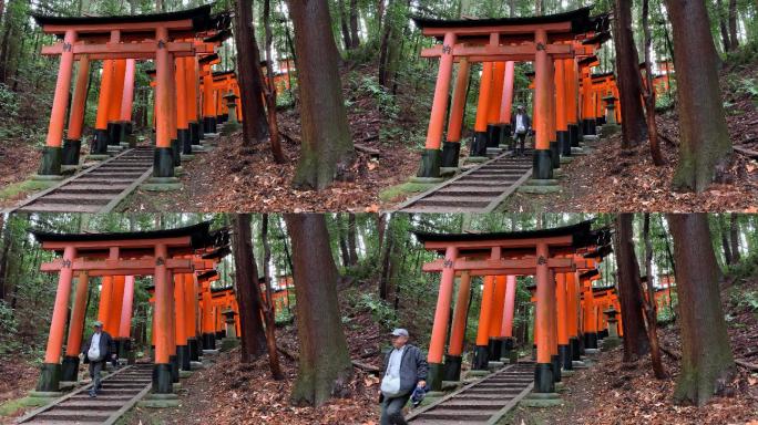 日本旅游景伏见稻荷大社朱红色牌坊千本鸟居