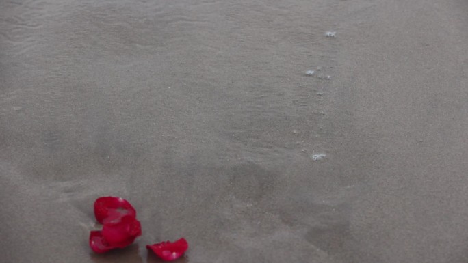 海浪玫瑰花瓣