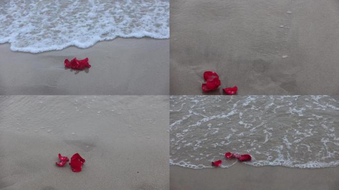 海浪玫瑰花瓣