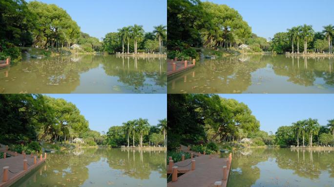 南宁人民公园湖面风景