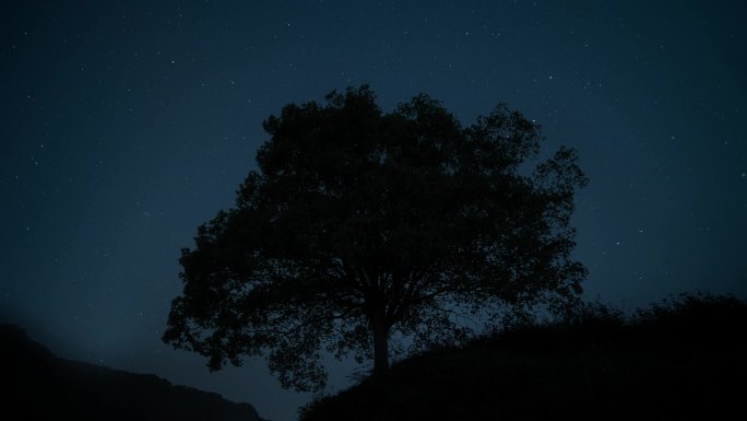 星空 大树 延时 合成