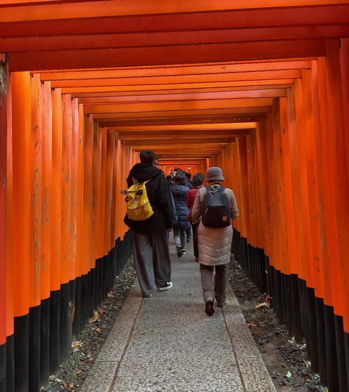 日本旅游景伏见稻荷大社朱红色牌坊千本鸟居