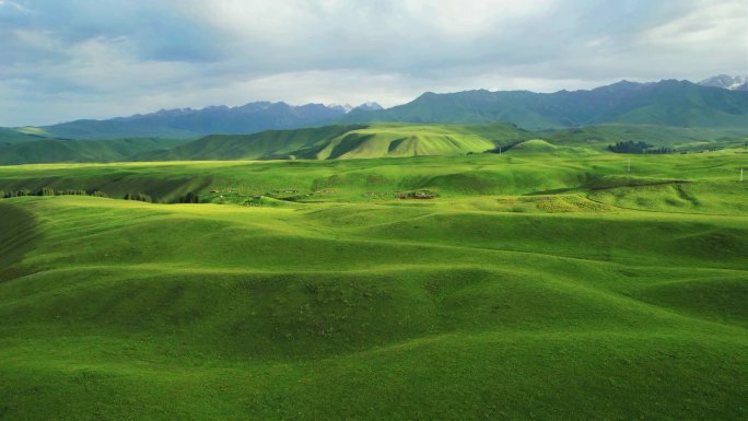 新疆伊犁唐布拉草原百里画廊风景航拍视频