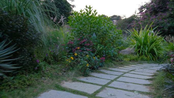 各种各样花草百花园百草园小路