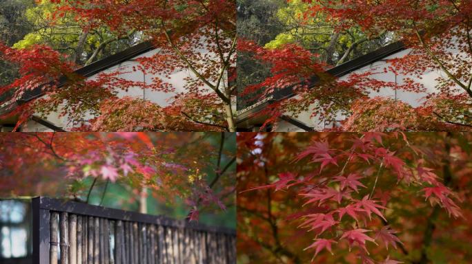 日式庭院