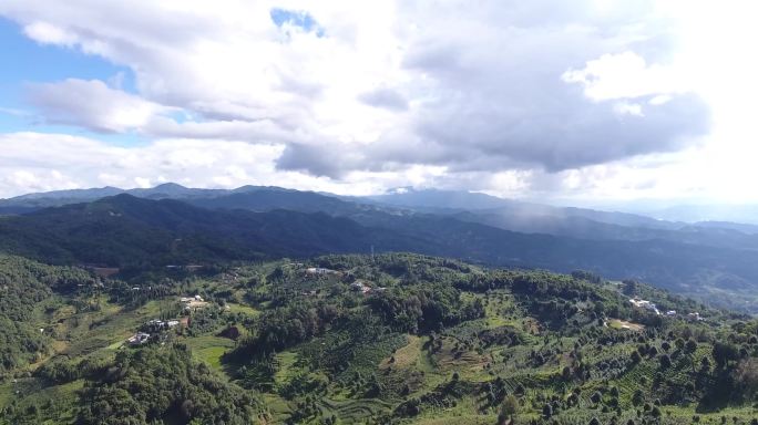 云雾茶山