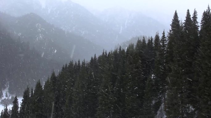 天山风雪