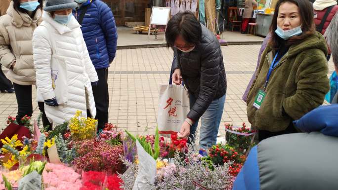 花鸟市场买花