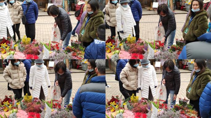 花鸟市场买花