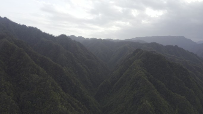 湖南神农架林区太阳坪自然保护区