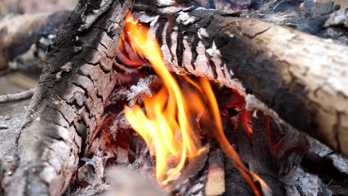 木柴火堆篝火燃烧