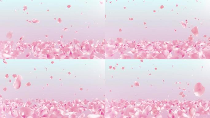 4K粉色花瓣温馨背景循环