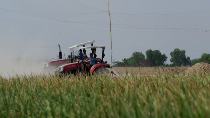 柬埔寨农村拖拉机开垦土地施肥