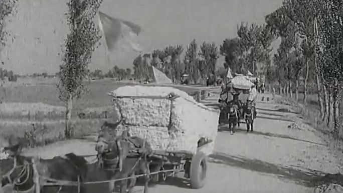 50年代棉花运输马车队
