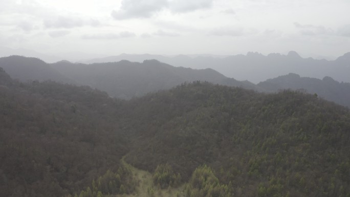 湖南神农架林区太阳坪自然保护区