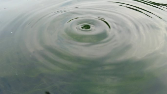 水面滴水涟漪慢镜头