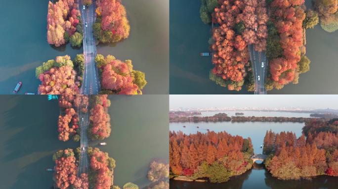 杭州西湖航拍美景秋季渔船杨公堤