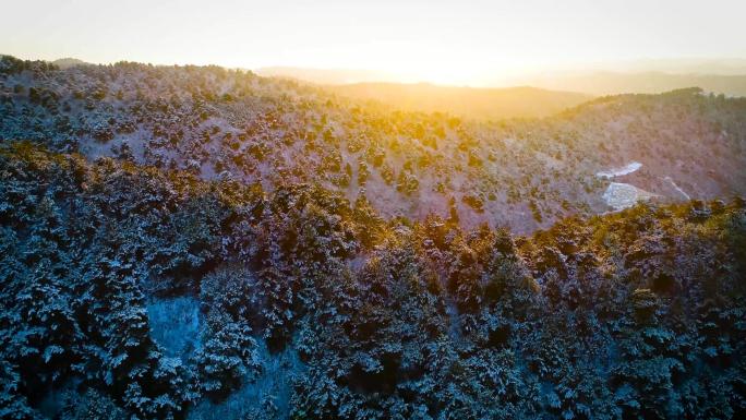 冬日夕阳森林雪景视频素材（两个版本）