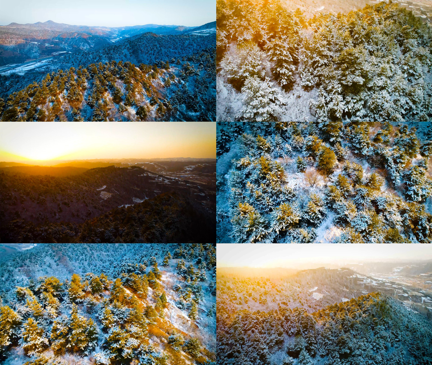 冬日夕阳森林雪景视频素材（两个版本）