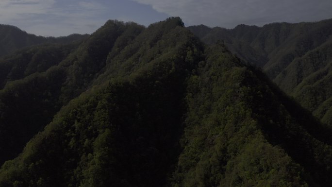 湖南神农架林区太阳坪自然保护区