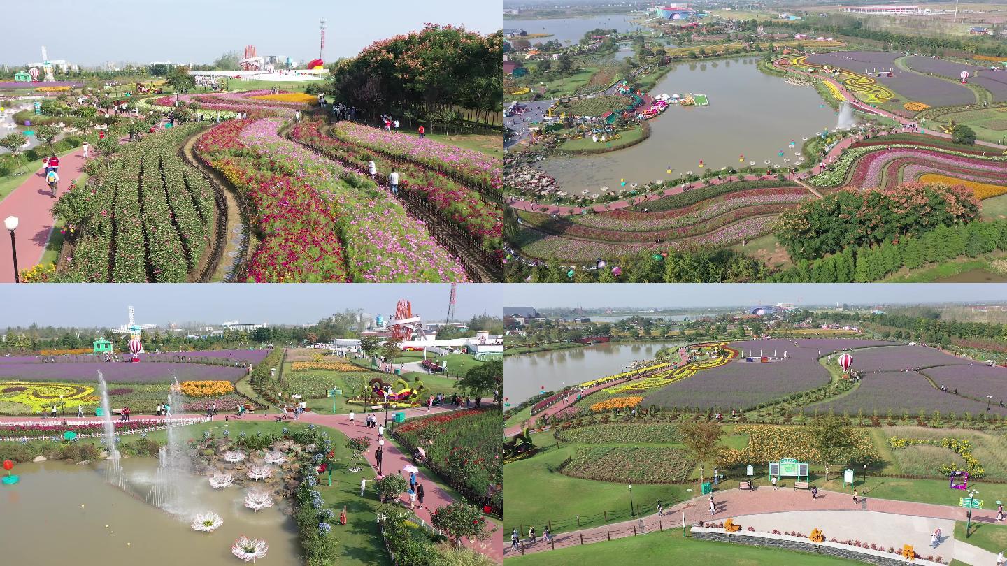 花田航拍 荷兰花海 航拍美景 景区美景